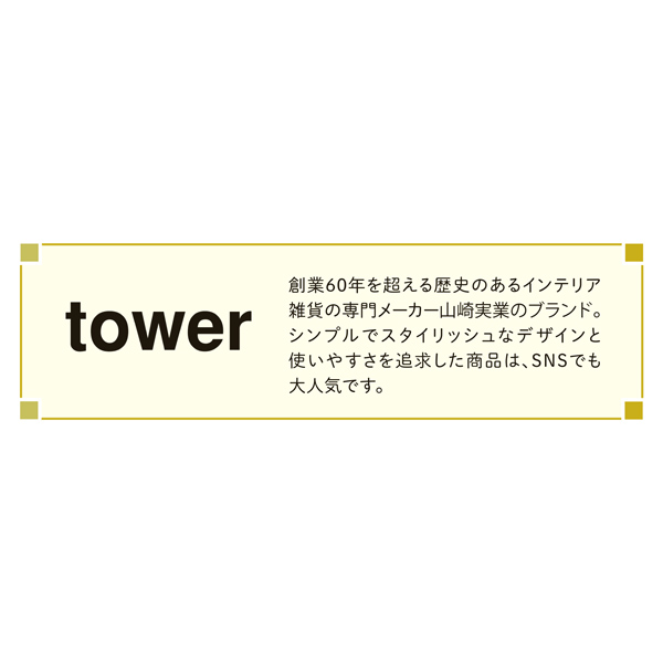 tower 隠せる調味料ラック2段 ホワイト